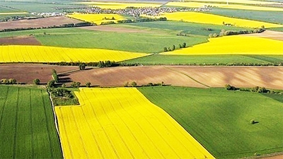 From April 1 to October 25, 2024, the holding's land bank BITimpex Anstalt LTD has increased by 94,790 hectares.