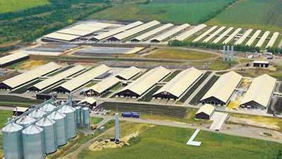 As of December 31, 2021, Bitimpex Anstalt proudly holds a substantial land portfolio encompassing 135,000 hectares of both owned and leased land.
