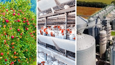The company has 107 000 ga of land.