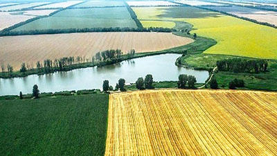 From November 2024 to the present day, the holding company "BITimpex Anstalt LTD" has acquired 25,318 hectares of agricultural arable land.