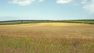 In January 2026, the «BITimpex Anstalt LTD» holding acquired 10,274 hectares of agricultural land in the Republic of Crimea. The entire land will be used for construction, cultivation, and processing of agricultural products.