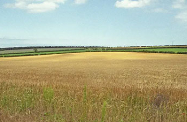 In January 2026, the «BITimpex Anstalt LTD» holding acquired 10,274 hectares of agricultural land in the Republic of Crimea. The entire land will be used for construction, cultivation, and processing of agricultural products.